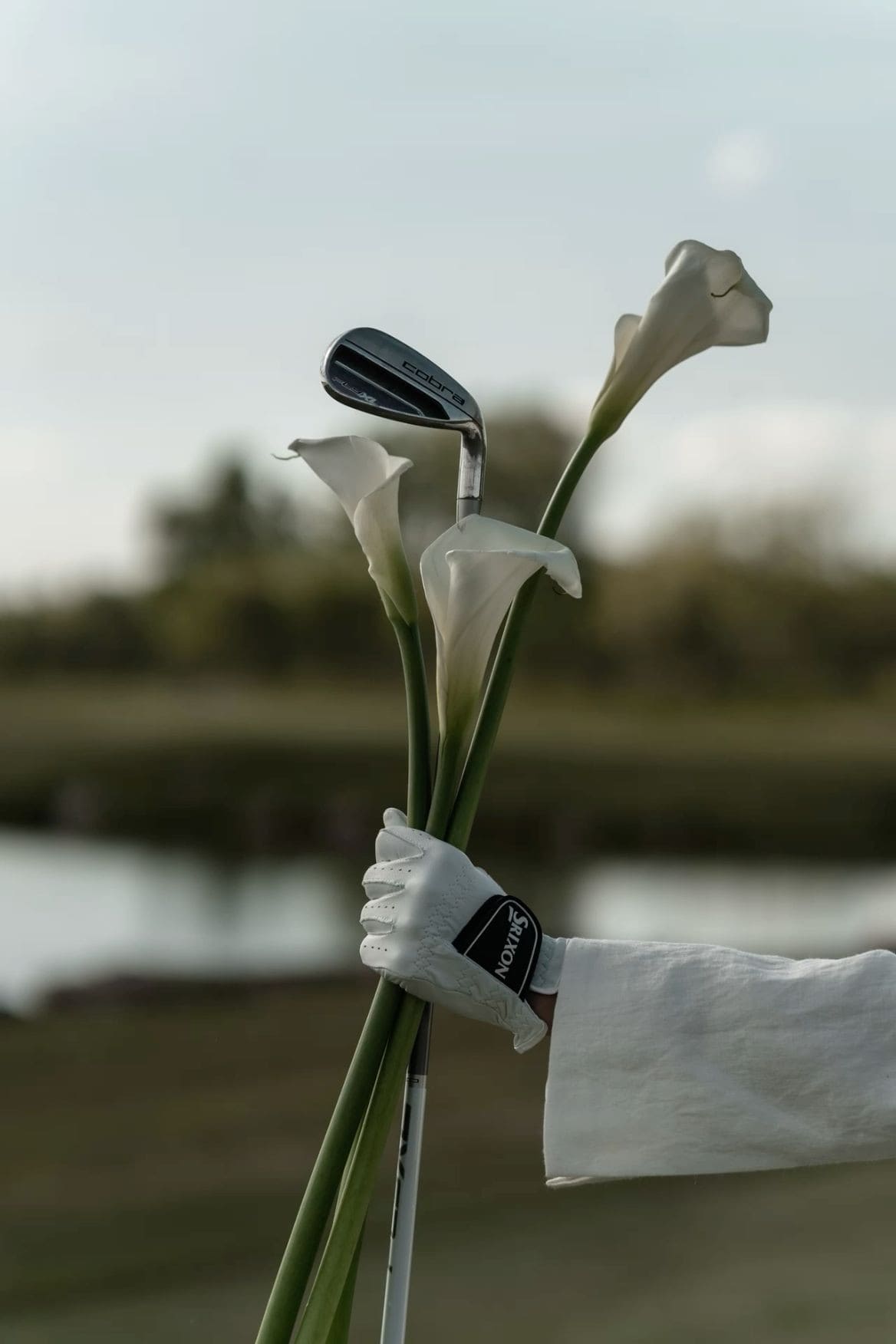 Chipping net til hjemmetræning: hvad du skal vide inden du køber