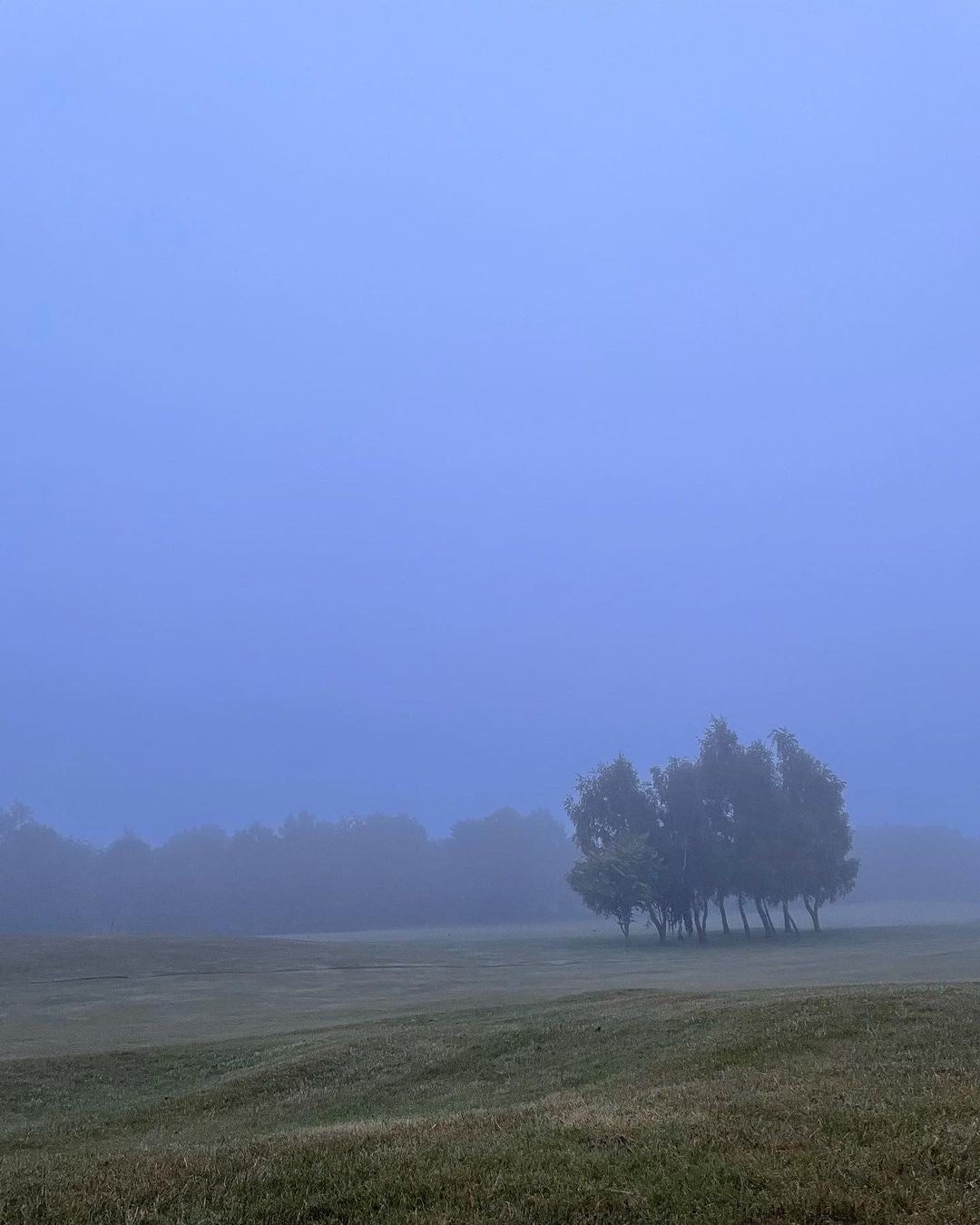 Golf vintertræning hjemme: sådan holder du spillet skarpt uden for sæsonen